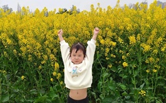 撸二哥男人在线